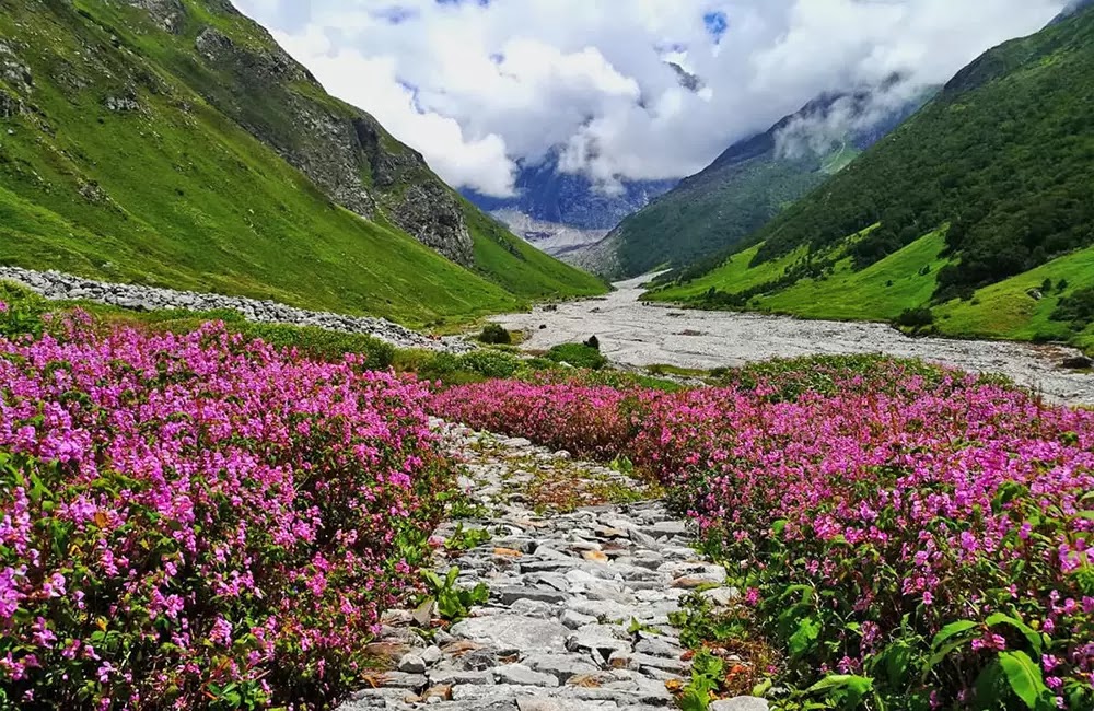 Valley of Flowers Trek 0